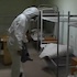 Дезинсекция общежитий